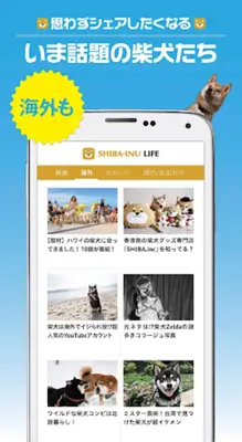 柴犬ライフ android App screenshot 2