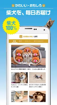 柴犬ライフ android App screenshot 3